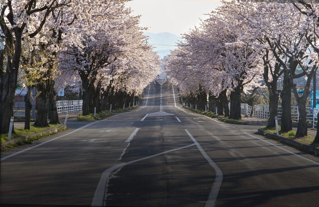 Japan Tourism: A Comprehensive Guide to Exploring the Land of the Rising Sun 2 Japan Tourism